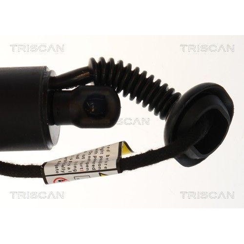TRISCAN Gasfeder, Koffer-/Laderaum 8710 23322