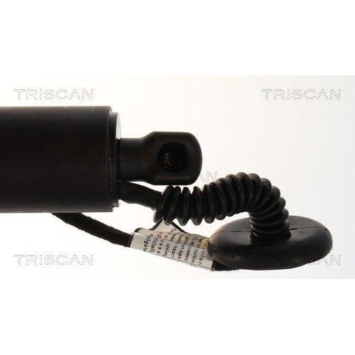 TRISCAN Gasfeder, Koffer-/Laderaum 8710 23323
