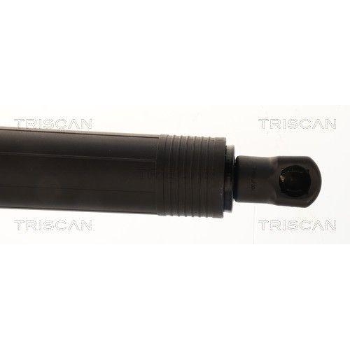 TRISCAN Gasfeder, Koffer-/Laderaum 8710 23324