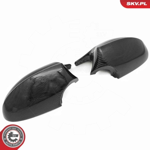 ESEN SKV Abdeckung, Außenspiegel