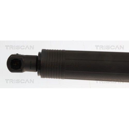 TRISCAN Gasfeder, Koffer-/Laderaum 8710 23325