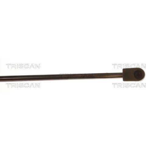 TRISCAN Gasfeder, Koffer-/Laderaum 8710 24297