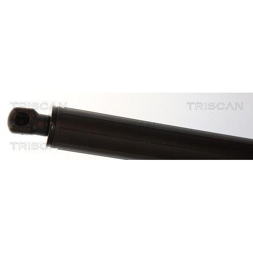 TRISCAN Gasfeder, Koffer-/Laderaum 8710 24305