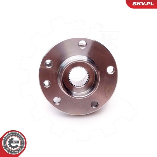 ESEN SKV Radlagersatz 29SKV143