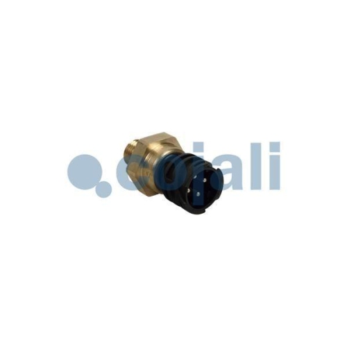 COJALI Sensor, &Ouml;ldruck 2262032