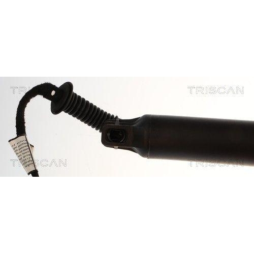 TRISCAN Gasfeder, Koffer-/Laderaum 8710 24307