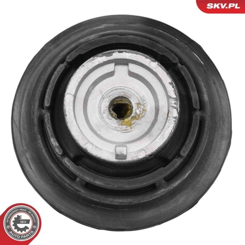 ESEN SKV Lagerung, Motor