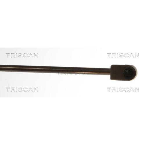TRISCAN Gasfeder, Koffer-/Laderaum 8710 25285