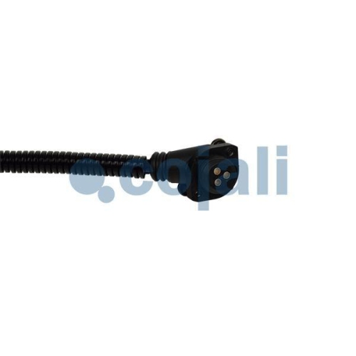 COJALI Sensor 2261186