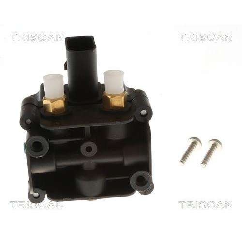 TRISCAN Kompressor, Druckluftanlage