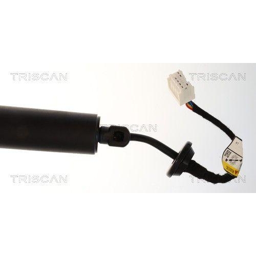 TRISCAN Gasfeder, Koffer-/Laderaum 8710 25303