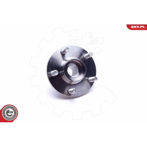 ESEN SKV Radlagersatz