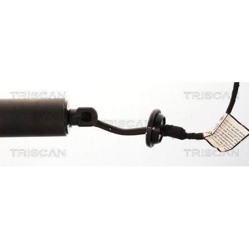 TRISCAN Gasfeder, Koffer-/Laderaum 8710 25304