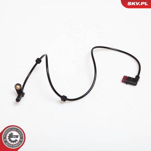 ESEN SKV Sensor, Raddrehzahl 06SKV138