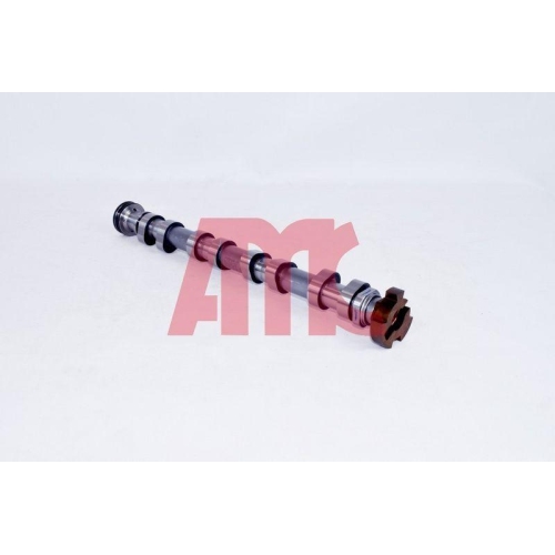 AMC Nockenwelle 647105