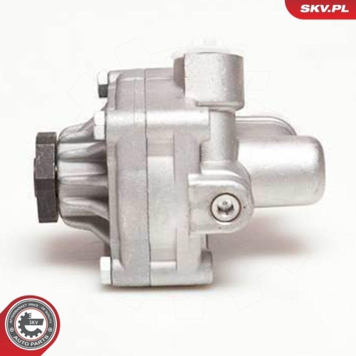 ESEN SKV Hydraulikpumpe, Lenkung 10SKV017