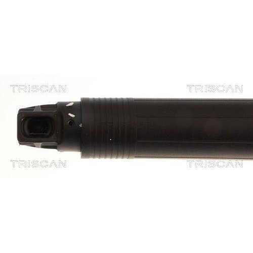 TRISCAN Gasfeder, Koffer-/Laderaum 8710 27320