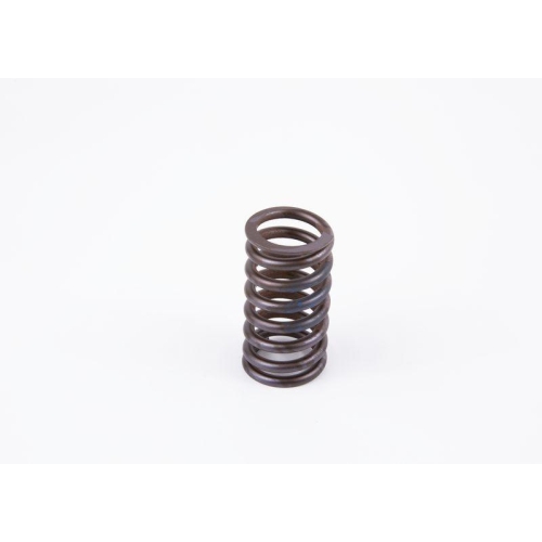 BOSCH Feder 2 434 614 017