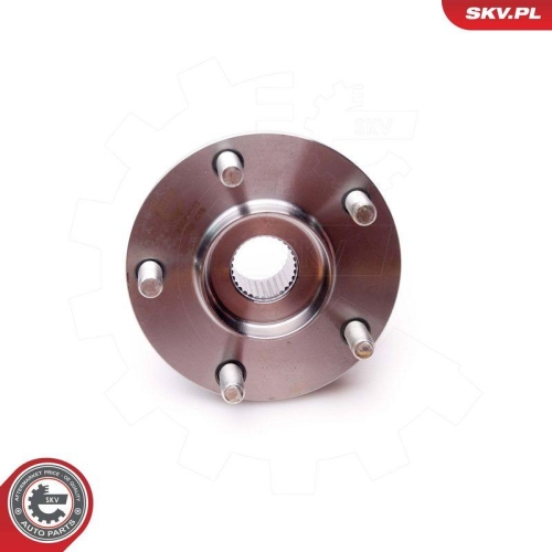 ESEN SKV Radlagersatz 29SKV149