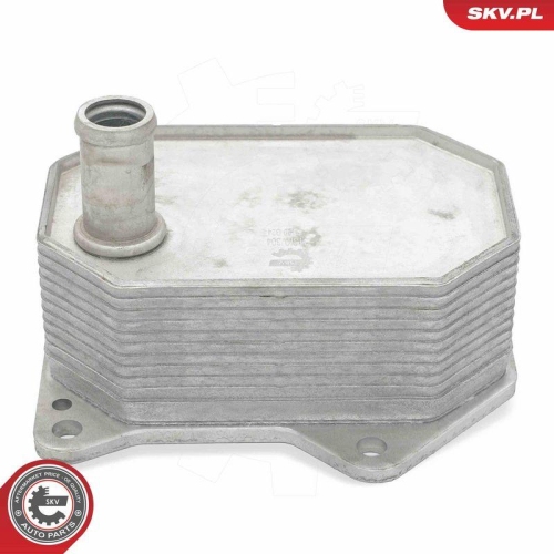 ESEN SKV &Ouml;lk&uuml;hler, Motor&ouml;l 31SKV304