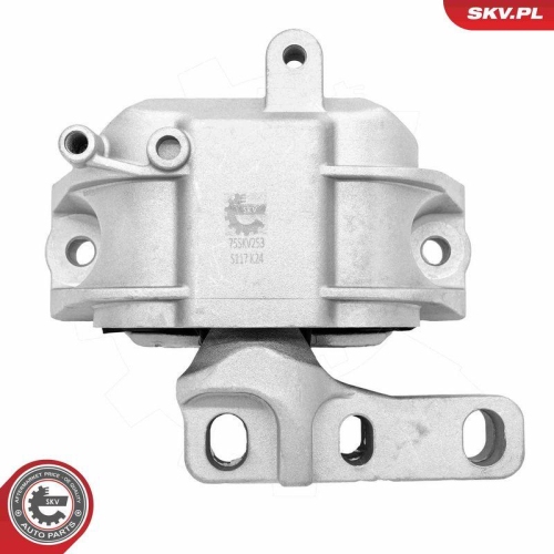 ESEN SKV Lagerung, Motor 75SKV253