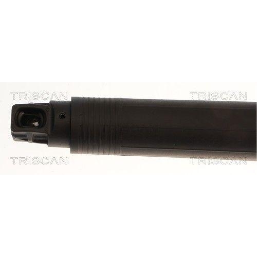TRISCAN Gasfeder, Koffer-/Laderaum 8710 27321