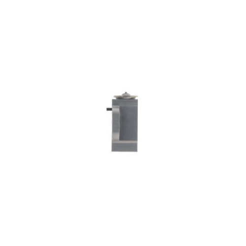 MAHLE Expansionsventil, Klimaanlage BEHR AVE 179 000S