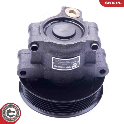 ESEN SKV Hydraulikpumpe, Lenkung 10SKV101