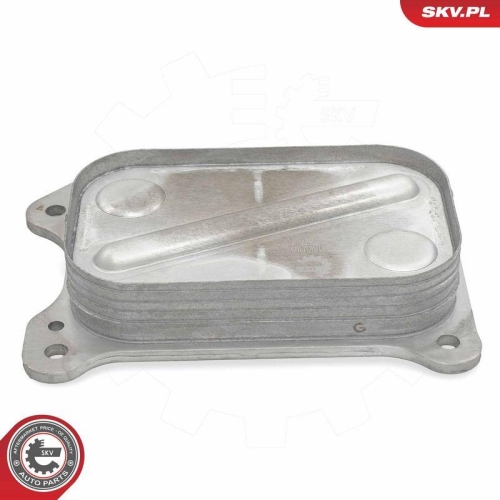 ESEN SKV &Ouml;lk&uuml;hler, Motor&ouml;l 31SKV309