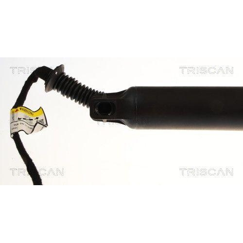 TRISCAN Gasfeder, Koffer-/Laderaum 8710 28305