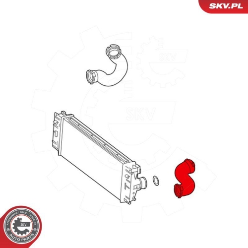 ESEN SKV Ladeluftschlauch 54SKV193