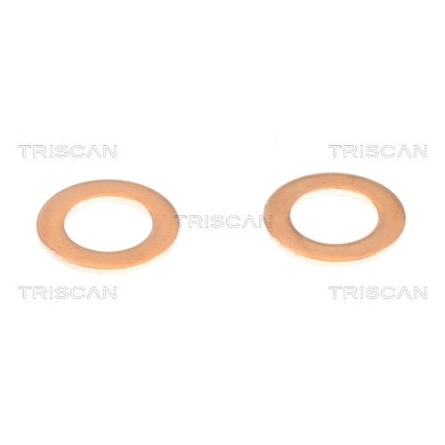 TRISCAN Bremsschlauch 8150 432016