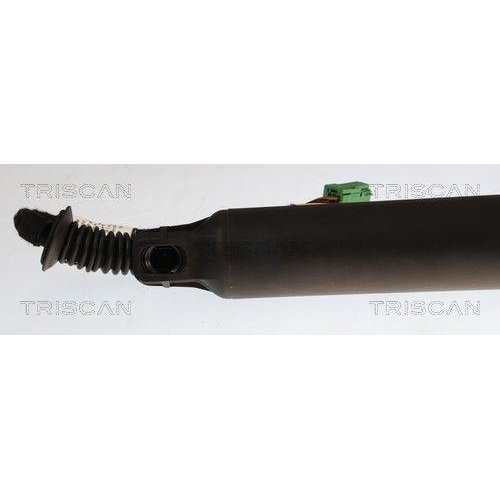 TRISCAN Gasfeder, Koffer-/Laderaum 8710 28306