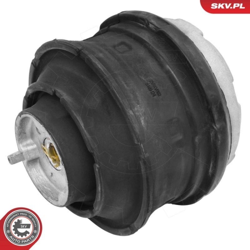 ESEN SKV Lagerung, Motor 75SKV002