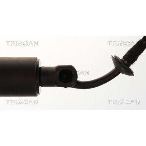 TRISCAN Gasfeder, Koffer-/Laderaum 8710 28310