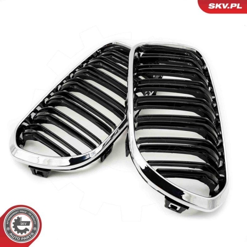 ESEN SKV Kühlergitter