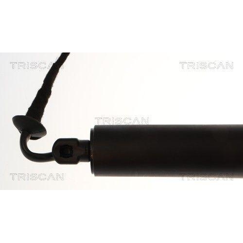 TRISCAN Gasfeder, Koffer-/Laderaum 8710 28311