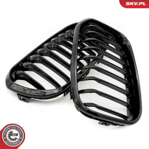 ESEN SKV Kühlergitter