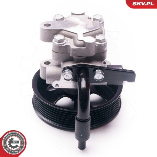 ESEN SKV Hydraulikpumpe, Lenkung 10SKV201