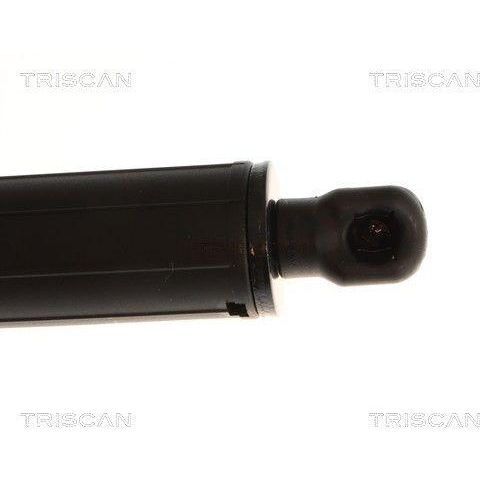TRISCAN Gasfeder, Koffer-/Laderaum 8710 292089