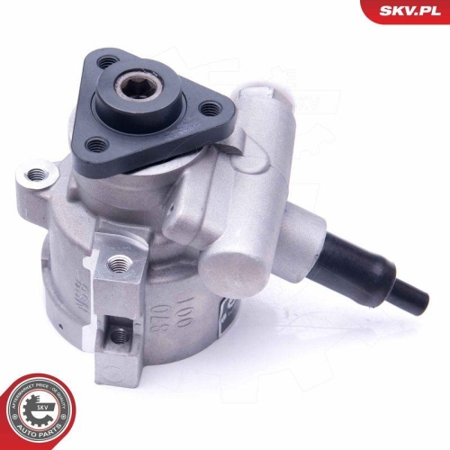ESEN SKV Hydraulikpumpe, Lenkung 10SKV258