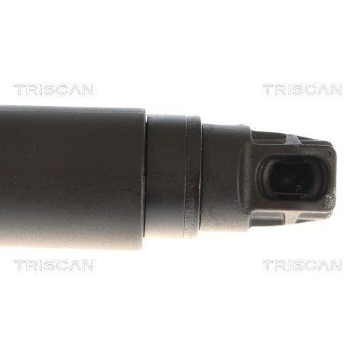 TRISCAN Gasfeder, Koffer-/Laderaum 8710 292098
