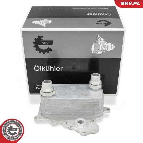 ESEN SKV &Ouml;lk&uuml;hler, Motor&ouml;l 31SKV351