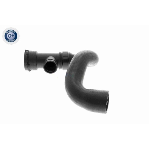 VAICO Kühlerschlauch Q+, Erstausrüsterqualität V10-3196