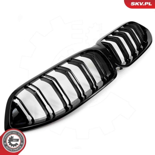 ESEN SKV Kühlergitter