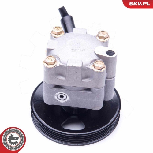 ESEN SKV Hydraulikpumpe, Lenkung 10SKV276