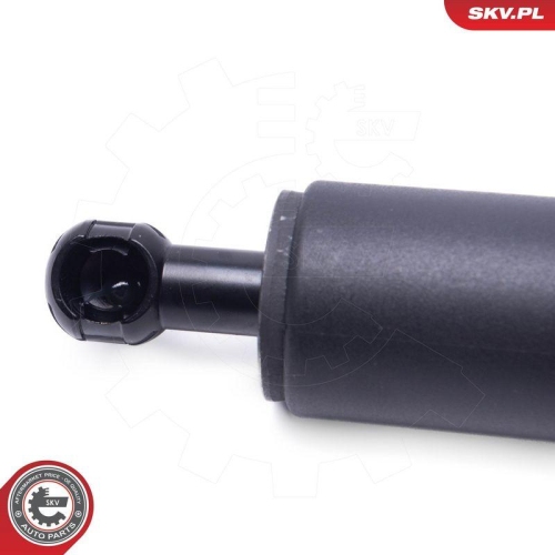 ESEN SKV Elektromotor, Heckklappe 52SKV949