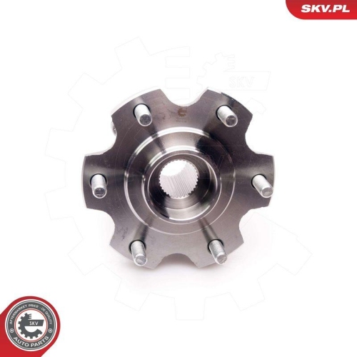 ESEN SKV Radlagersatz 29SKV161