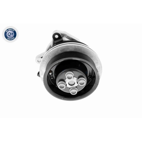 VAICO Wasserpumpe, Motorkühlung Q+, Erstausrüsterqualität V10-50065