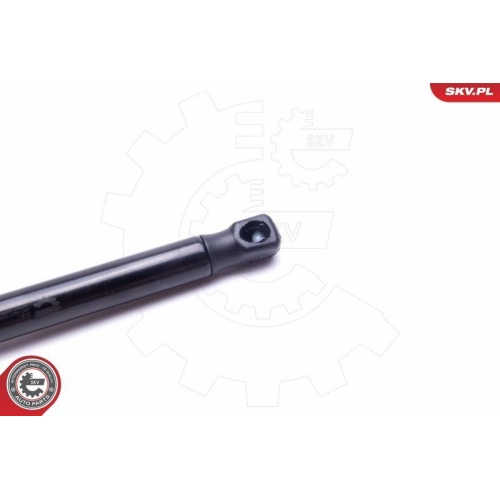 ESEN SKV Gasfeder, Koffer-/Laderaum